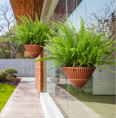 इनडोर पौधों के लिए लटकने वाले प्लांटर,टेराकोटा लटकने वाले प्लांटर,सिरेमिक लटकने वाले पौधों के बर्तन,लटकने वाली टोकरी,लटकने वाले प्लांटर